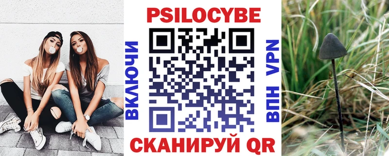 Псилоцибиновые грибы Psilocybine cubensis  Купить закладки  Еманжелинск 